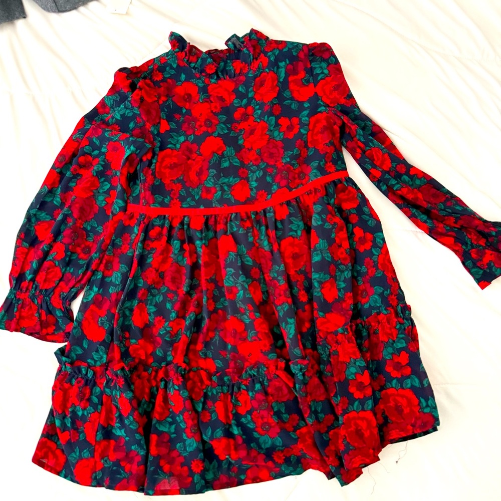 Janie & Jack rose print kids dress. Holiday dress size 6